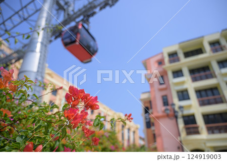 ロープウェイとブーゲンビリアの花 Bougainvillea Flowers ロープウェイとブーゲンビリアの花 Bougainvillea Flowers 124919003