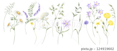 Wildflowers chamomile, bellflower, buttercup, dandelion, mouse pea, yarrow and meadow grasses. Hand drawn isolated watercolor illustration set of yellow and lilac flowers for fabric print, postcards. Wildflowers chamomile, bellflower, buttercup, dandelion, mouse pea, yarrow and meadow grasses. Hand drawn isolated watercolor illustration set of yellow and lilac flowers for fabric print, postcards. 124919602