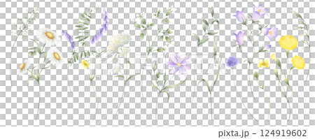 Wildflowers chamomile, bellflower, buttercup, dandelion, mouse pea, yarrow and meadow grasses. Hand drawn isolated watercolor illustration set of yellow and lilac flowers for fabric print, postcards. 124919602