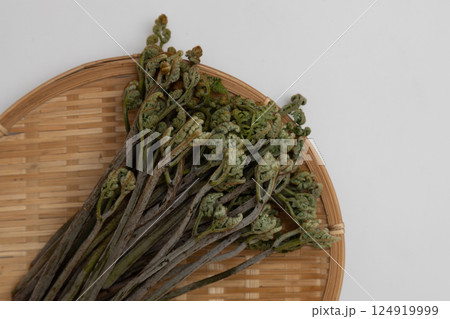 春のたべもの蕨　山菜の代表的なわらびの素材写真 124919999