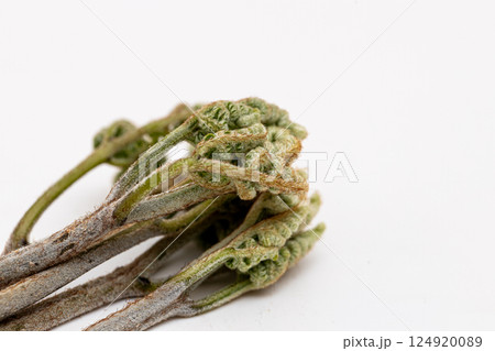 春のたべもの蕨 山菜の代表的なわらびの素材写真 春のたべもの蕨 山菜の代表的なわらびの素材写真 124920089