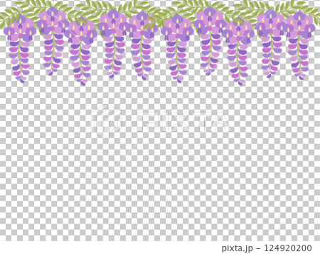 Wisteria background 124920200