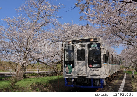 浦ノ崎駅(松浦鉄道)のディーゼルカーと桜 浦ノ崎駅(松浦鉄道)のディーゼルカーと桜 124920539