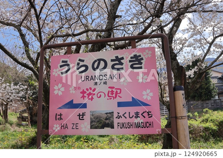松浦鉄道の浦ノ崎駅(桜の駅) 松浦鉄道の浦ノ崎駅(桜の駅) 124920665