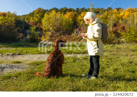 An adult woman trains an Irish Setter dog in a field in a city park 124920672