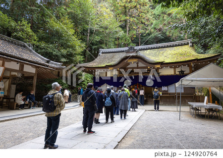 奈良県／狭井神社（2024年11月撮影） 124920764