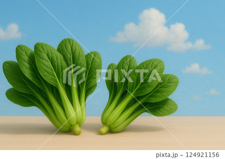 採れたての小松菜 124921156