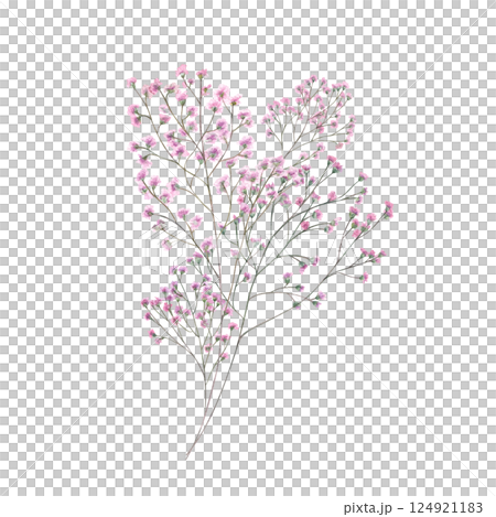 Pink gypsophila romantic bouquet watercolor illustration isolated background. Delicate hand painted baby breath flower. For wedding invitations, bridal branding, stationery, nursery decor, packaging. 124921183