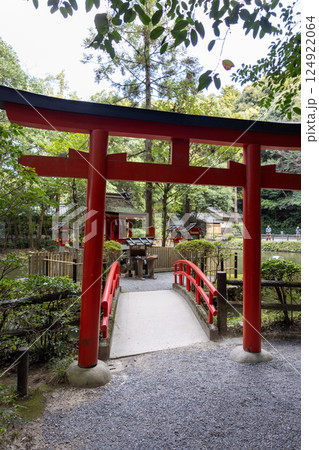 奈良県／市杵島姫神社（2024年11月撮影） 124922064