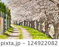 春風の並木路 124922082