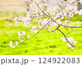 春のメロディー 124922083