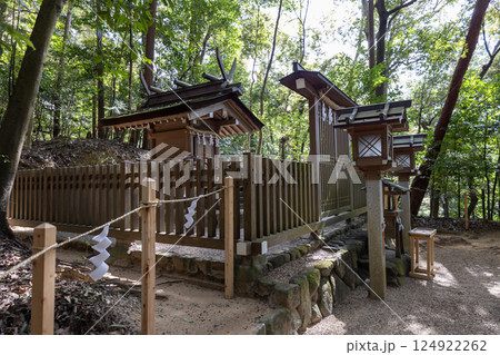 奈良県／活日神社（2024年11月撮影） 124922262