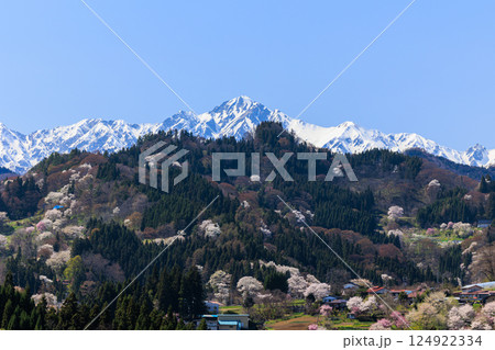 【長野県】美しい村 春の小川村 124922334