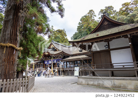 奈良県大神神社／拝殿（2024年11月撮影） 124922452