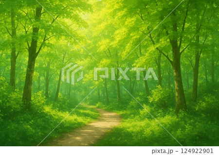 緑の森林公園を走る道 緑の森林公園を走る道 124922901