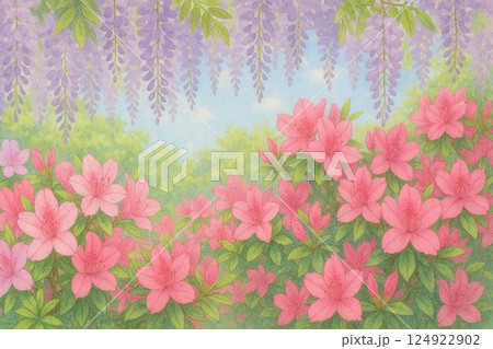 鮮やかなハイビスカス 124922902