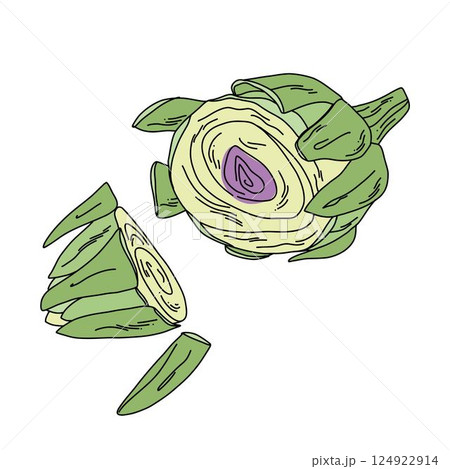 Colorful cartoon-style artichoke cut with stem and purple leaves, isolated healthy food illustration 124922914
