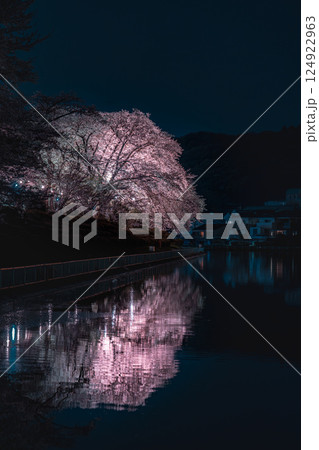 鹿の川沼に咲く夜桜 124922963