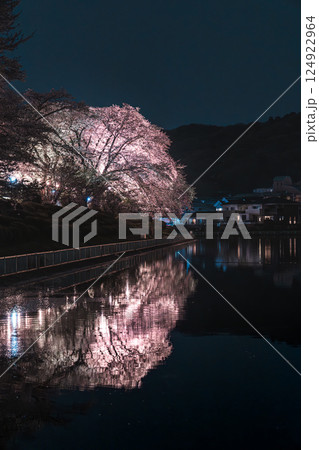鹿の川沼に咲く夜桜 鹿の川沼に咲く夜桜 124922964