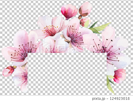 Frame with watercolor pink cherry flowers and green leaves, wedding sakura isolated illustration 124923018