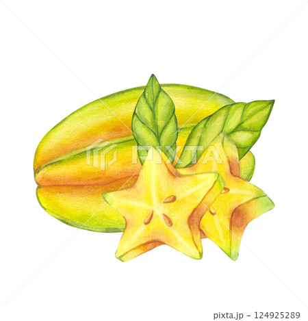 Watercolor starfruit. Averrhoa carambola or Bilimbi. Whole yellow fruit and slices with green leaf foliage. Botanical exotic star apple. Hand drawn illustration isolated on white background. For menu Watercolor starfruit. Averrhoa carambola or Bilimbi. Whole yellow fruit and slices with green leaf foliage. Botanical exotic star apple. Hand drawn illustration isolated on white background. For menu 124925289