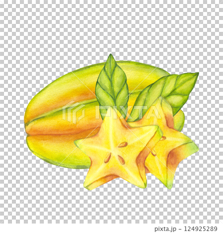 Watercolor starfruit. Averrhoa carambola or Bilimbi. Whole yellow fruit and slices with green leaf foliage. Botanical exotic star apple. Hand drawn illustration isolated on white background. For menu 124925289