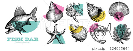 Illustration of Sea Creatures and Shells Illustration of Sea Creatures and Shells 124925644