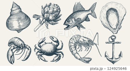 Vintage Nautical Seafood Illustration Vintage Nautical Seafood Illustration 124925646