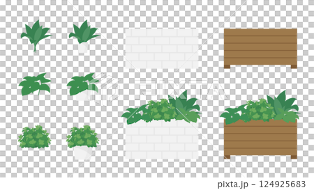 戶外盆種植的小型觀賞植物插圖集 124925683