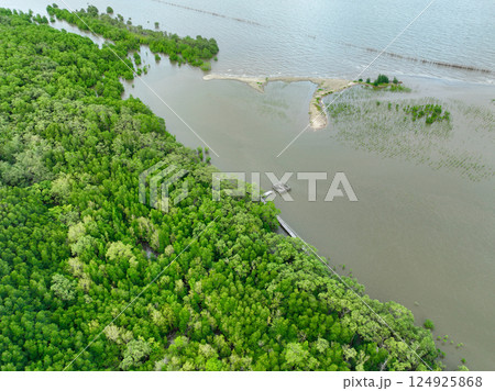 Aerial view green mangrove forest. Natural carbon sinks. Mangroves trees capture CO2. Blue carbon ecosystems. Mangroves absorb carbon dioxide emissions and mitigating global warming. Green ecosystem. 124925868