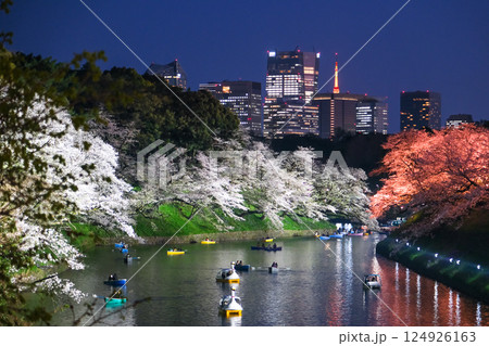 東京都千代田区 春の千鳥ヶ淵 夜桜 東京都千代田区 春の千鳥ヶ淵 夜桜 124926163