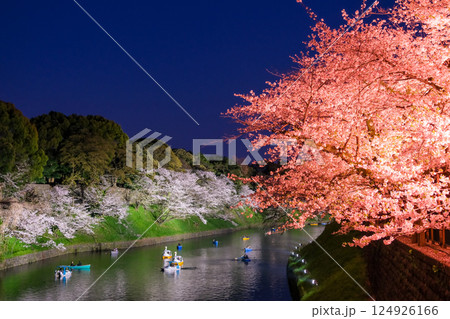 東京都千代田区 春の千鳥ヶ淵 夜桜 124926166