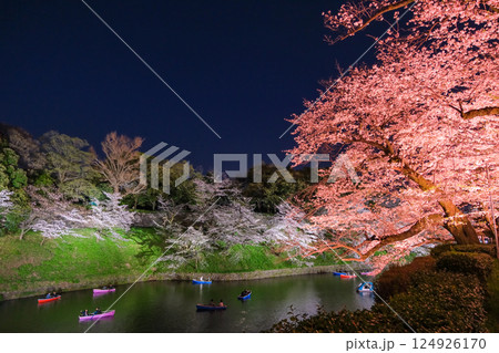 東京都千代田区 春の千鳥ヶ淵 夜桜 東京都千代田区 春の千鳥ヶ淵 夜桜 124926170