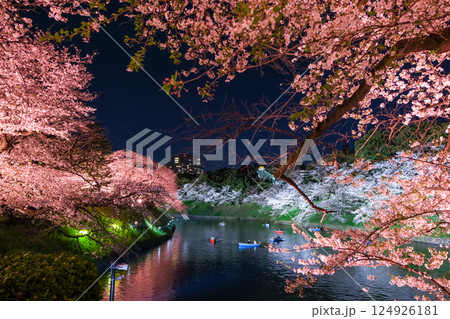 東京都千代田区 春の千鳥ヶ淵 夜桜 124926181