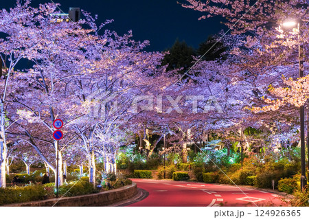 東京都港区 六本木、東京ミッドタウンの夜桜 東京都港区 六本木、東京ミッドタウンの夜桜 124926365