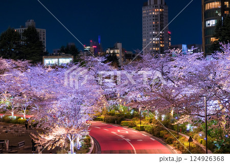 東京都港区 六本木、東京ミッドタウンの夜桜 東京都港区 六本木、東京ミッドタウンの夜桜 124926368