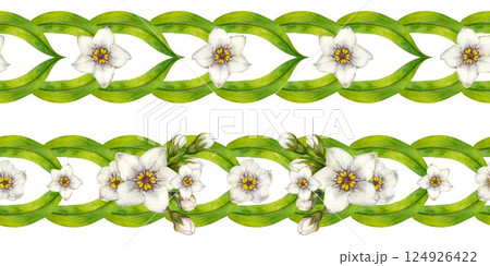 Watercolor floral border with white flowers, green leaves, buds in ornate, looping pattern. Set of seamless border templates for invitations, packaging, ribbons, scrapbook, stationery, wedding, frames 124926422