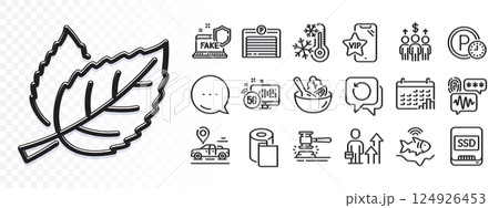 Auction hammer, Ssd and Leaf line icons for web app. Glare of light effect. Message icon. Pack of Salad, Freezing, Biometric security pictogram icons. Vector Auction hammer, Ssd and Leaf line icons for web app. Glare of light effect. Message icon. Pack of Salad, Freezing, Biometric security pictogram icons. Vector 124926453