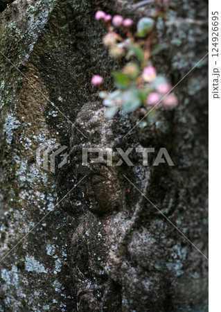 摩崖仏とピンクの花 124926695