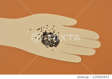 Black seeds Black seeds 124926831