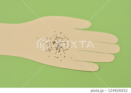 Lime basil seeds Lime basil seeds 124926832