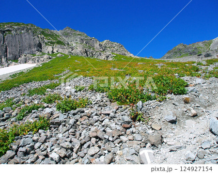 高山植物に覆われた日本アルプスの登山道 124927154