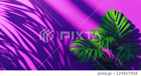 Monstera leaves casting shadows on vibrant purple wall 124927938