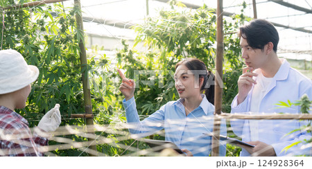 Research collaboration on cannabis cultivation techniques in greenhouses academic setting innovative environment professional viewpoint Research collaboration on cannabis cultivation techniques in greenhouses academic setting innovative environment professional viewpoint 124928364
