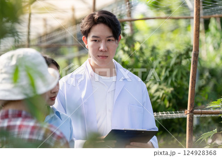 Cannabis research in greenhouse facility agricultural development modern environment scientific approach Cannabis research in greenhouse facility agricultural development modern environment scientific approach 124928368