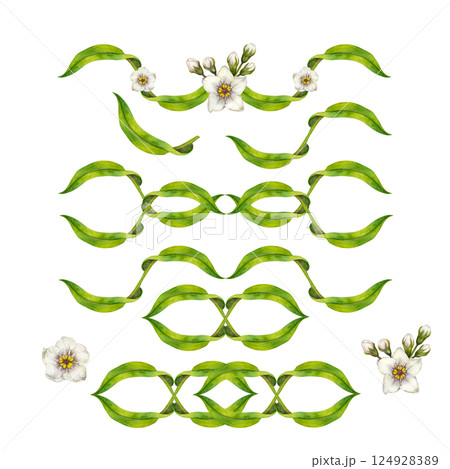 Watercolor floral set with green swirls of leaves, white flowers. Botanical template. Hand painted set perfect for wedding invitations, eco-design, stationery, spring-themed decorations, scrapbooking. 124928389