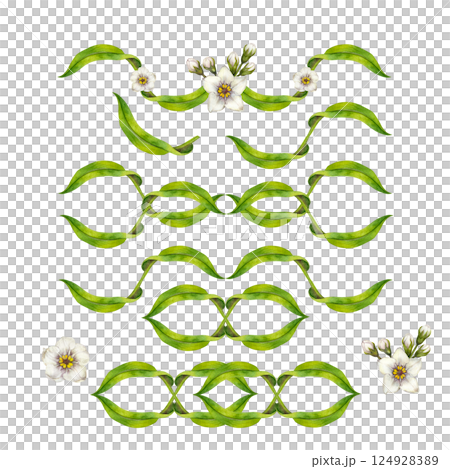 Watercolor floral set with green swirls of leaves, white flowers. Botanical template. Hand painted set perfect for wedding invitations, eco-design, stationery, spring-themed decorations, scrapbooking. 124928389