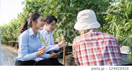 Research collaboration on cannabis cultivation greenhouse educational session farm close up sustainable practices 124928428
