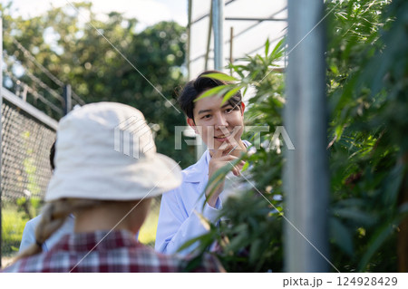 Research on cannabis cultivation practices botanical garden educational workshop outdoor setting close up innovation Research on cannabis cultivation practices botanical garden educational workshop outdoor setting close up innovation 124928429