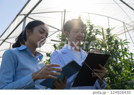 Research on cannabis cultivation greenhouse environment scientific study urban location insightful perspective Research on cannabis cultivation greenhouse environment scientific study urban location insightful perspective 124928430